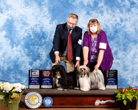 Havanese #5 #14 Sat Judge Jon Cole