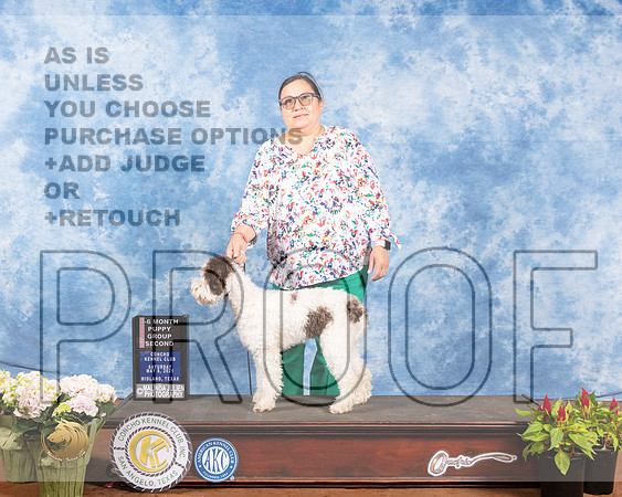 Logatto Romagnolo #8 Sat PG2 Judge Helen DorranceMMJ_0843-MdlndM792021_HR3