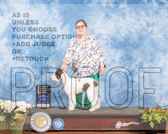Logatto Romagnolo #8 Sat PG2 Judge Helen DorranceMMJ_0844-MdlndM792021_HR3