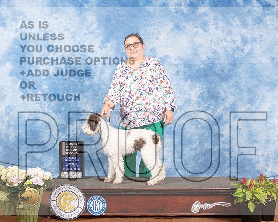 Logatto Romagnolo #8 Sat PG2 Judge Helen DorranceMMJ_0848-MdlndM792021_HR3