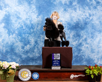 Poodle Miniature #11 Sat WD Judge Cindy Meyer