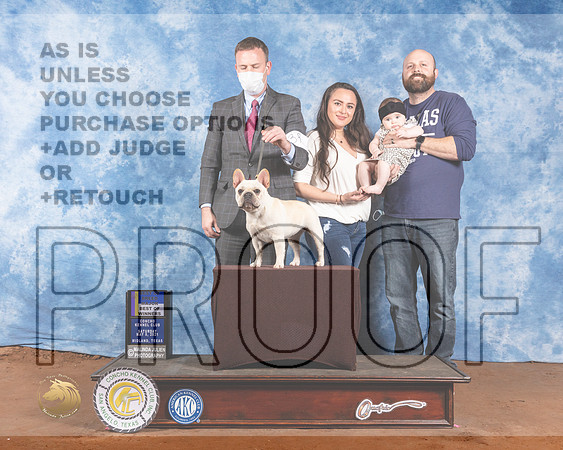 French Bulldog #38 Sat BOB Judge Cindy MeyerMMJ_0981-MdlndM792021_HR3