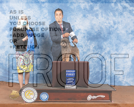 Affenpinscher #5 Sat G1 Judge Jan PaulkMMJ_1000-MdlndM792021_HR3