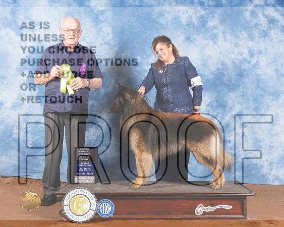 Belgian Turveran #7 Sat OHRBIS Judge Col Joe PurkhiserMMJ_1090-MdlndM792021_HR3