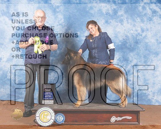 Belgian Turveran #7 Sat OHRBIS Judge Col Joe PurkhiserMMJ_1091-MdlndM792021_HR3