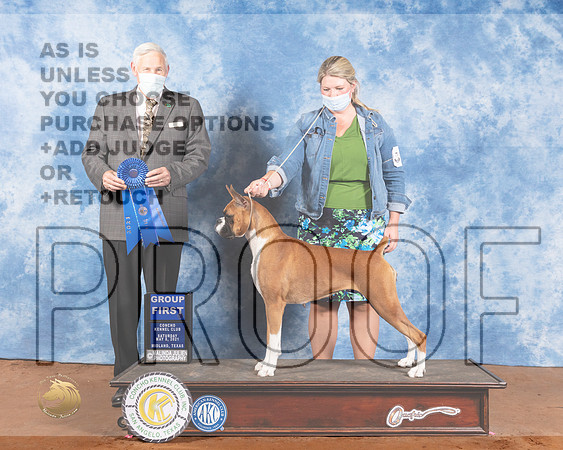 Boxer #14 Sat G1 Judge Brian MeyerMMJ_1108-MdlndM792021_HR3