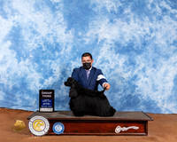 Cocker Spaniel Black #6 Sat G3 Judge Brian Meyers
