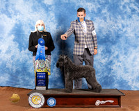 Kerry Blue Terrier #5 Sat G1 Judge Jan Paulk