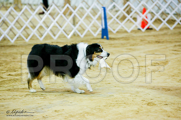 _JJ_7424-ASCACollegeStationNov2014-HR3