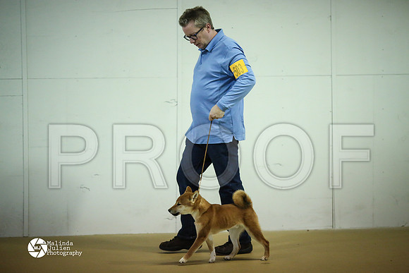 shib-6728-HtoJan14-HR