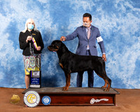 Rottweiler #5 Sat BOB Judge Jan Paulk