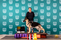 German Shepherd Dog #215 BOB