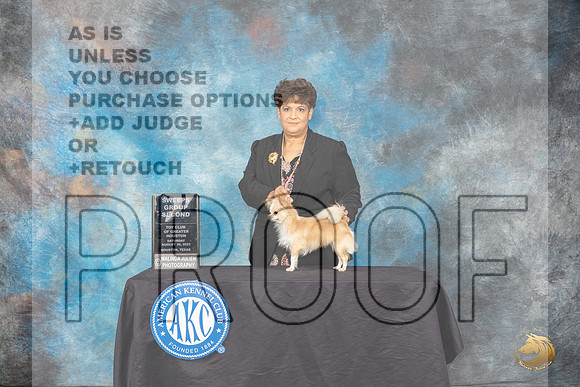 Chihuahua Long Coat  #11 Sat G2  Sweeps Judge Doris Cozart r_JP_0880_ToyHstn2023_HR3