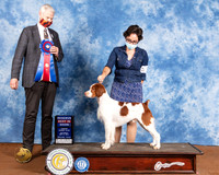 Brittany #5 Sat RBIS Judge Jon Cole