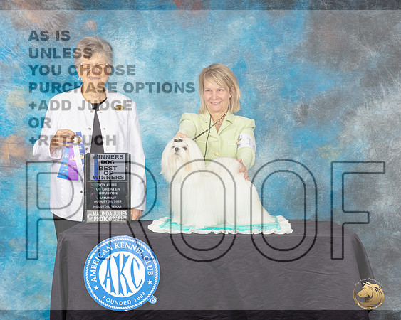 Maltese #9 Sat Judge Doris Cozart_JP_0541e_Toy Houston2023_HR3