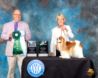 Jan Herrington Toy Houston 2023