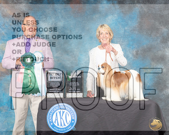 Cavalier King Charles Spaniel #8 Fri2 SBBVet Judge Ted W Eubank_JP_0159e_Toy Houston2023_HR3