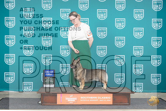 Swedish Vallhund #143 Sat1 G1 Judge Mary Ellen Meyer__JP_6497_BatesvilleMS_2024_HR3