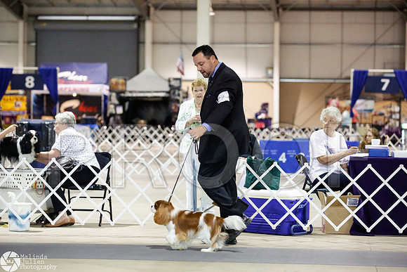 _JJ_2482-SanAntonioJul2014-HR