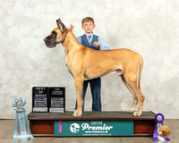 Great Dane #933 Sat JrBOB