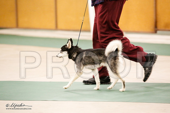 _JN_1415-NrmnNov2014-HR3