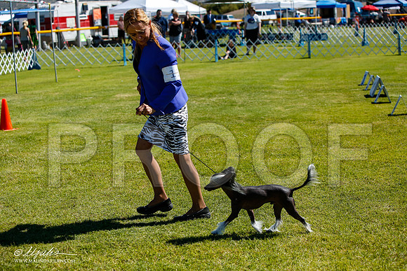 _JJ_5360-AlamogordoOct2014-HR3