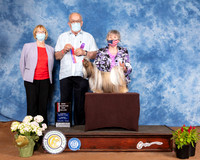 Shih Tzu #6 Sun BOS Judge Col Joe Purkhiser