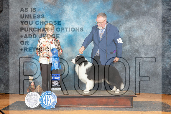 Border Collie #7 Sun G1 Judge Karen Hynek__JP_8677_MARSHALL_2024_HR3