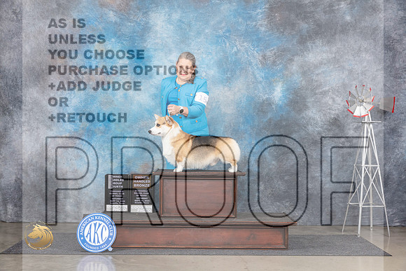 Pembroke Welsh Corgi #15 Sat OHG4OHB Judge Gary Andersen__JP_6221_Amarillo_2024_HR3