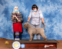 Lagotto #5 Sun BOB Judge Jan Paulk