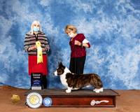 Cardigan Welsh Corgi #5 Sun G3 Judge Jan Paulk