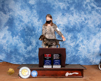 Dachshund Wire haired #5 Sun OHG4 Judge Cindy Meyers