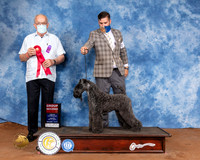 Kerry Blue Terrier #5 Sun G2 Judge Col Joe Purkhiser