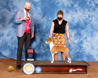 Basenji #12 Sun G2 Judge Jon Cole