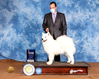 Samoyed #16 Sun BOB Judge Brian Meyer