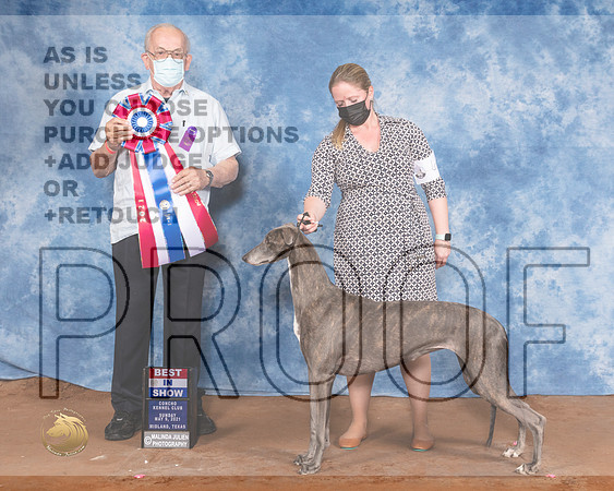 Greyhound #6 Sun BIS Judge Col Joe PurkhiserMMJ_1759-MdlndM792021_HR3