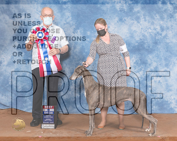 Greyhound #6 Sun BIS Judge Col Joe PurkhiserMMJ_1766-MdlndM792021_HR3