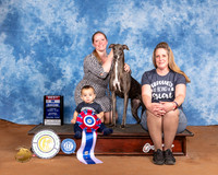 Greyhound BIS Family