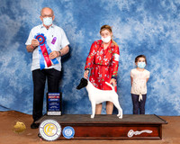 Smooth Fox Terrier #10 Sun Judge Col Joe Purkhiser