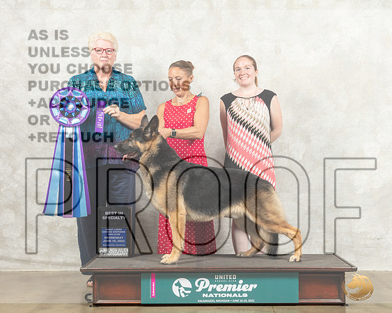 German Shepherd Dog #209 Wed BISS Judge Karen Cattin_MMJ_6642_Premier_2022_HR3