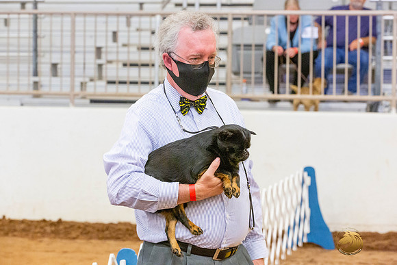 Brussels Griffon Pug Group Sat Rings_JJL_4603-MdlndMay72021-HR3