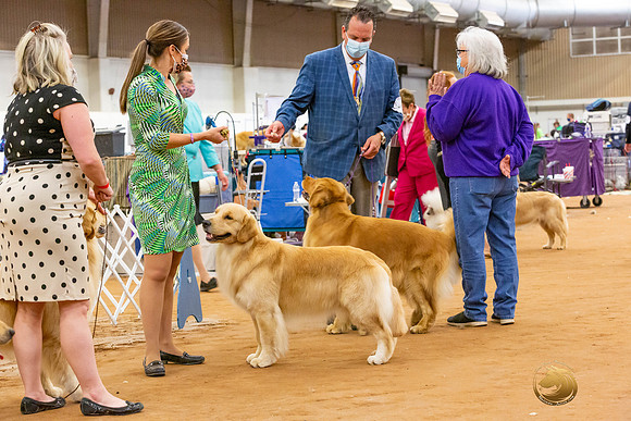 Golden Retriever #5 Sat Rings_JJL_4361-MdlndMay72021-HR3