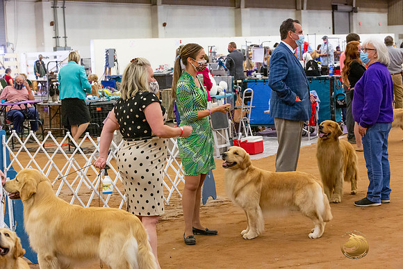 Golden Retriever #5 Sat Rings_JJL_4362-MdlndMay72021-HR3