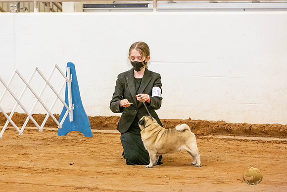 Pug Juniors Sat Catherine_JJL_4253-MdlndMay72021-HR3
