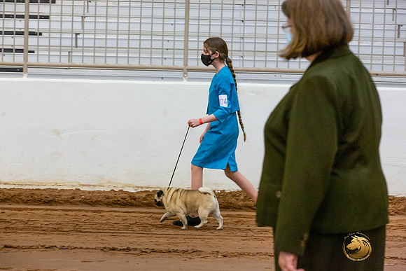 Pugs Catherine Fri_JJL_3518-MdlndMay72021-HR3
