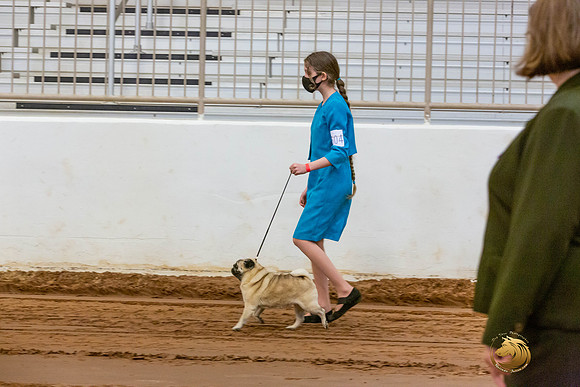 Pugs Catherine Fri_JJL_3522-MdlndMay72021-HR3
