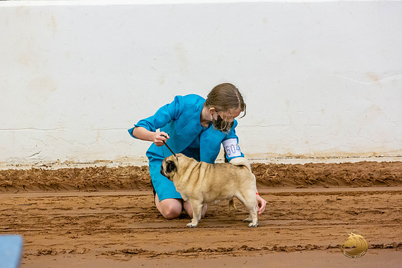 Pugs Catherine Fri_JJL_3530-MdlndMay72021-HR3