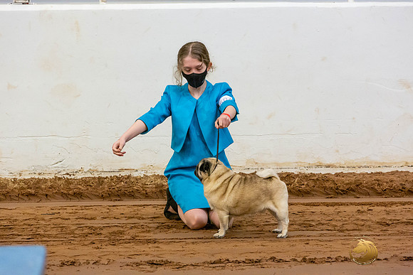 Pugs Catherine Fri_JJL_3532-MdlndMay72021-HR3