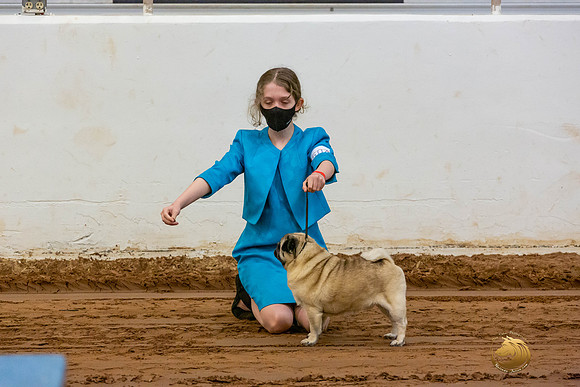 Pugs Catherine Fri_JJL_3533-MdlndMay72021-HR3