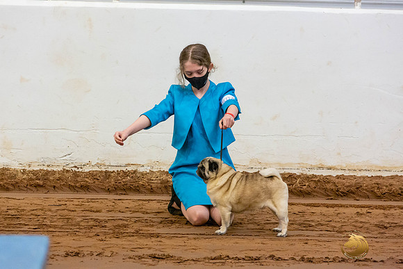 Pugs Catherine Fri_JJL_3535-MdlndMay72021-HR3